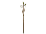 Fleur artificielle polyester Pavot écru 90cm