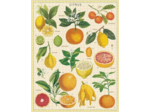 Puzzle 1000 pièces