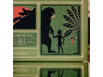 LE LIVRE DE LA JUNGLE - ILLUSTRE ET ANIME PAR MINALIMA