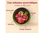 Infusion orange sanguine 17x2g Yogi Tea