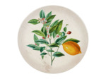 Dessous de plat dolomite Botanique multicolore 20cm