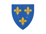 L'écu du Chevalier et de la Princesse - 3 fleurs de lys