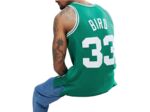 Larry Bird Celtics Boston 33