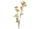 Tige Fleur Artificielle Cosmo Jaune 91cm