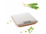 BALANCE INOX 5KG