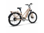 Vélo électrique Starway SUV Gold Equi-Motion