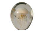 Sulfure méduse crème verre 16x13x13cm