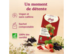 Infusion fruits rouges vanille 17x2g Yogi Tea