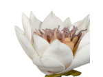 Fleur Artificielle Altia en Polyester Blanc et Ocre Haute Tige 84cm