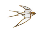 Miroir hirondelle ailes déployées résine doré 39x37cm