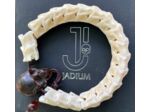 Bracelet Devil Snake by Jadium