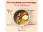 Tisane ayurveda Classic 17x2.2g Yogi Tea