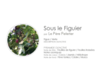 SAVON ARTISANAL SOUS LE FIGUIER
