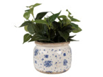 Pot de fleurs intérieur céramique beige bleu 15x15x20cm