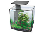 Aquarium Superfish QubiQ 30 - 32 x 32 x 32 cm