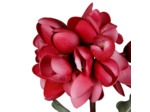 Fleur Campia Fuchsia Haute Tige 82cm