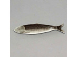 Plateau Allongé Sardine grise céramique 8x31cm
