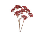 Tige Artificielle Fleur de Fenouil Bordeaux en Polyester 58cm