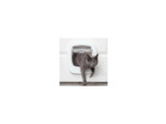 PETSAFE, Chatière BIG CAT 2.0