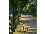 Coffret Amour Loire et Beauté