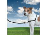 HARNAIS EASY WALK® pour chien - Taille M