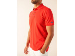 Polo Ryan