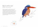 PETIT GUIDE DES OISEAUX A LA CON