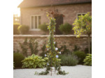 Support à plantes fer Galaxy 64x37x181cm
