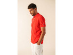 Polo Ryan