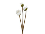 Fleur artificielle polyester Pavot écru 90cm