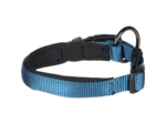 Collier confort Bleu pour chien avec boucle à clic FLAMINGO