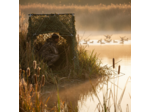 Filet Camo First® forêt 50 m : ombrage, déco et camouflage 3D durable