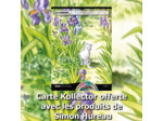 La belle histoire des jardins