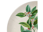 Dessous de plat dolomite Botanique multicolore 20cm
