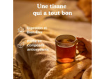 Tisane ayurveda Classic 17x2.2g Yogi Tea