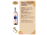 Pinot Grigio Rosé Blush DOC 75cl