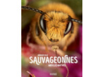 SAUVAGEONNES - ABEILLES NATIVES