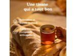 Infusion fruits rouges vanille 17x2g Yogi Tea