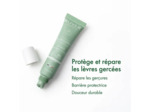 Baume à lèvres à la bave d'escargot - 15 g