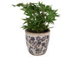 Pot de fleurs intérieur céramique beige bleu 16x16x17cm
