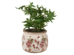 Pot de fleur rose céramique beige 15x20x20cm