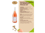 Primitivo Rosé IGP 75cl