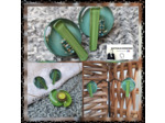 BOUCLES D OREILLES LUNE bleu-vert