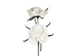Fleur Artificielle Hamamélis Blanche en Polyester Haute Tige 90cm