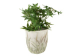 Pot de fleurs pierre tiges de blé beige vert 16x17cm