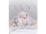 Peluche lapin avec plaid personnalisé