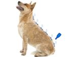 Dimethicare, Pipettes stop parasites pour chien - 6 pipettes
