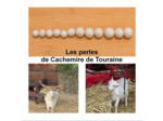 Boucles d'oreille pierres naturelles et double perle en cachemire de Touraine