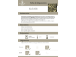 Thé Vert Bancha Fiorito 100g