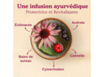 Tisane defenses naturelles 17x2g Yogi Tea